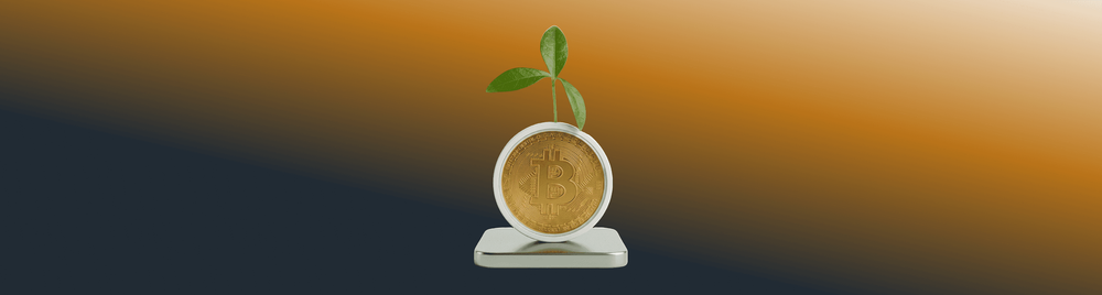 The $60 800 Question: Is Bitcoin Rhyming With 2023?