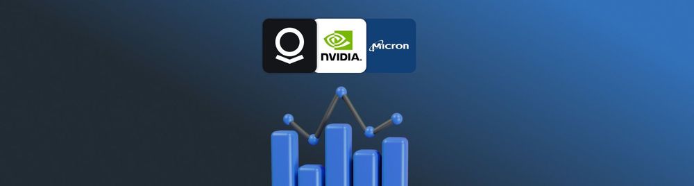 Top Stock Performances for H1 2024 