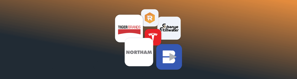 JSE & NYSE Shares Analysis 24 - 28 November