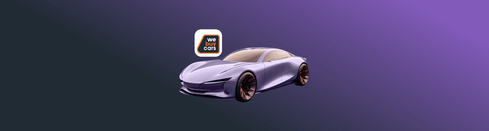 Investment Insights - We Buy Cars Holdings (WBC)