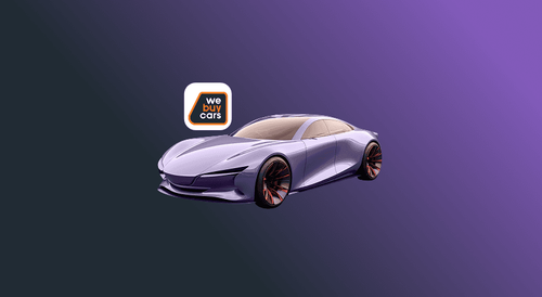 Investment Insights - We Buy Cars Holdings (WBC)